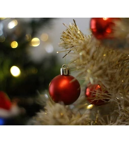 Mit ajándékozz barkácsolónak vagy kertésznek? – Karácsonyi ajándékötletek