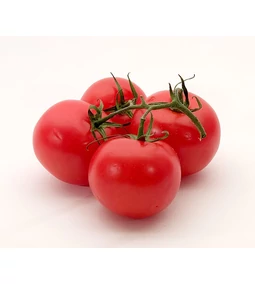 Hogyan termessz otthon paradicsomot? Teljes útmutató kezdőknek és haladóknak