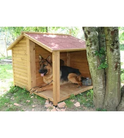 Hogyan készíts saját kezűleg kutyaházat? Teljes útmutató lépésről lépésre