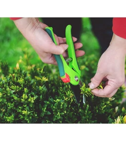 Márciusi kerti munkák – ezekre a szerszámokra lesz szükséged tavasszal