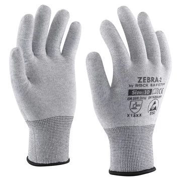 Rock Safety Zebra 2