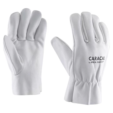 Rock Safety Caracal