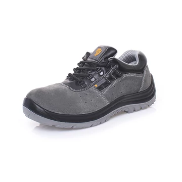 Procera Rio S1 Src