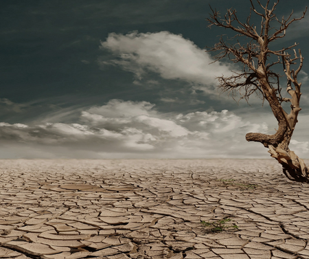 Kertészkedés aszálykor 3 - Berb Szerszám