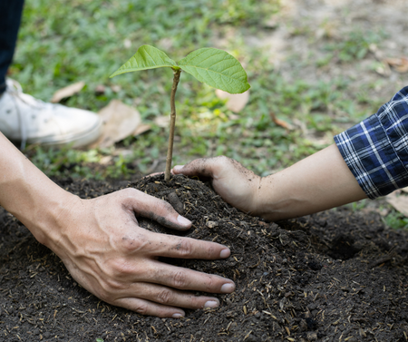 Kertészkedés aszálykor 2 - Berb Szerszám