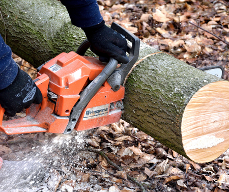 Láncfűrészek előnyei, tipusai - Berb Szerszám