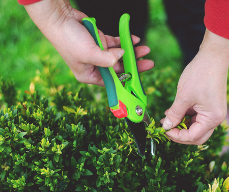 Metszőolló kínálat - Berb Szerszám