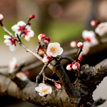 Lemosó permetezés - Berb Szerszám