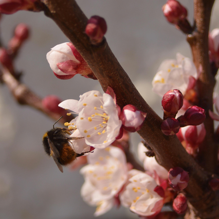 Lemosó permetezés haszna - Berb Szerszám