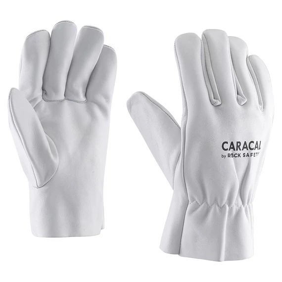 Rock Safety Caracal